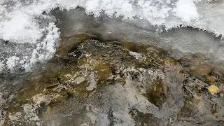 Trickling Water Framed by Winter Ice | Gentle Mountain Stream Sounds