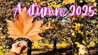 Magical Autumn Leaves | Fall colours in Australia | Nature's Beauty 🍁🍂❤️