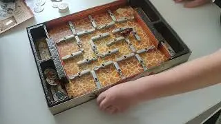Playing Bugs in the Kitchen board game (link below)
