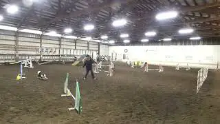 UKI home my arena 8060 Agility 1 week 185 Chris Edmark H15358 Xtra D35154 12 inch height champ