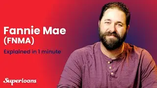 Fannie Mae (FNMA) Explained in 1 Minute #shorts
