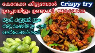 കോവക്ക ഇതുപോലെ ചെയ്തു നോക്കൂ കിടിലൻ ടേസ്റ്റ് ആണേ || Kovakka Fry