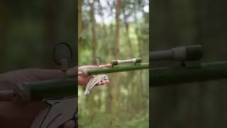Dolphin gun
