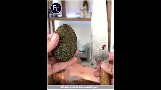 It is safe way to cut Avocado 😱😱 !!! #shorts #factscentral