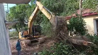 Forest clearing process Excavator CAT 313D and Bulldozers D31😍😍👍