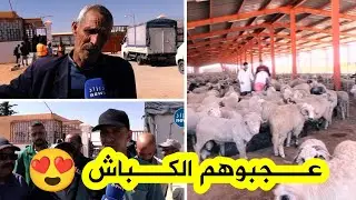 انطلاق عملية بيع الأضاحي المستوردة بولاية الجلفة😍 وسط إقبال واسع ورضى المواطنين بجودة 