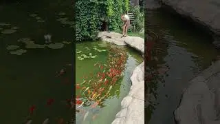 Рыбки плавали в пруду не поймали ни одну. 😃