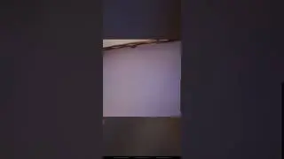 Zoohlub paj ci 01