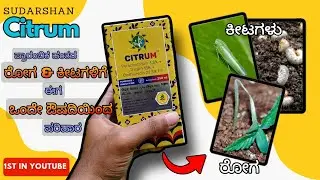 Sudarshan CITRUM product | 2 fungicides & 1 insecticide in a single product | GSP PCT-410 Product |
