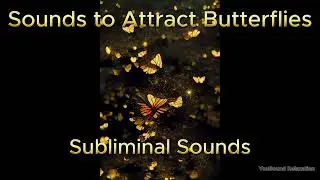 1 Hour of Subliminal Sounds to Attract Butterflies | Gentle Nature Vibes