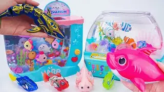 Toy ASMR | Unboxing RC Whale & Pink Baby Shark & Sea Animal Aquarium 💛Water Toy Fun 🎣