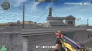 CF : Highlights S&D - 9A91-Wild Eagle - Qinshouju#976