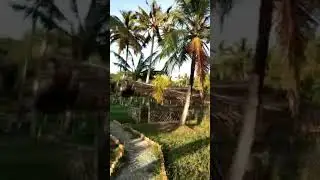 Edava Varkala Lake Resourt 🥳