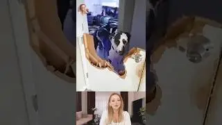 Dogs Destroying the House Caught on Camera 🐶