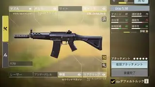 Grau5.56