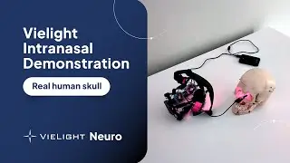 Why the Nose? | Real Human Skull Demo | Brain Photobiomodulation