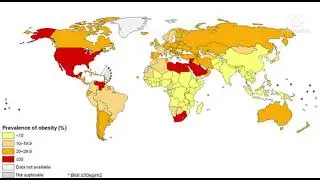 Maps to watch instead of doing your homework #maps #viral