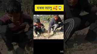 🌺🌿✨😱#music #long #assamsevirelvido #assam #trending #adventure #trevelblogger 🥰🌿😱✨