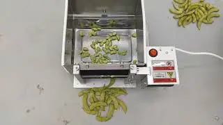 239519 Pea peeling machine