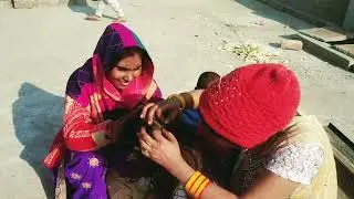 Group Nitpicking In Long Hair