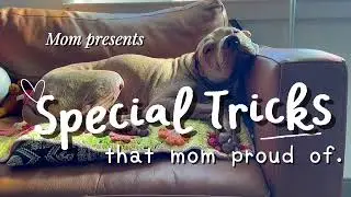 Mom presents : Special tricks that mom proud of.