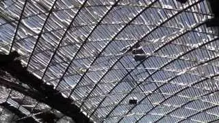 Diagrid Architecture - Vyksa Steel Production Hall by Vladimir Shukhov - 1898