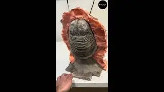 Making a Professional Silicone Mold for Resin Casting (Warrior's Touch)