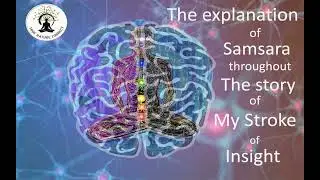 My stroke of insight with Samsara explanation, การเส้นเลือดในสมองของฉันแตกกับการอธิบายเรื่องสังขารา