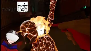Null and Void | BONELAB