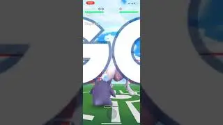 Mewtwo raid 2:4 Trainers,260 seconds.