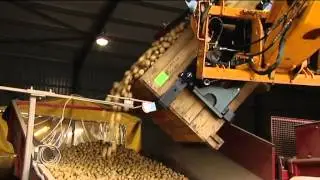 Agriweld 180C Box Rotator tipping potatoes
