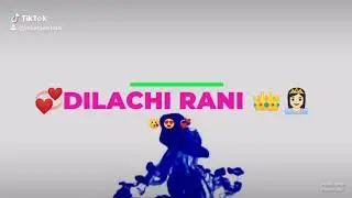 dilachi rani😍song😘#youtube #virulshorts #love #reels