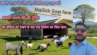 बकरी का सेड निर्माण इस तरह करें Goat Farming Training Class 