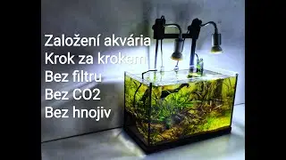 založení akvária 20l, bez filtrace, hnojiva a CO2 Making aqua,20l, no filter, no fertilizer, no CO2