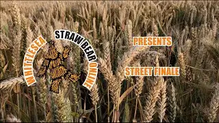 Straw Bear online: The Bear&rsquo;s final dance
