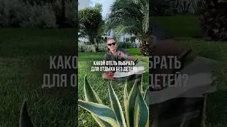 ДУБАЙ. Обзор отеля W Dubai Mina Seyahi Adults Only. Просчёт стоимости для вас по ссылке в шапке.