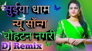 सुईया धाम न्यू सॉन्ग 2025 चौहटन नगरी प्यारी घणी लागे #dj  #newsong #