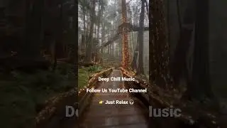 Deep Chill Music 🎶