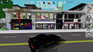 Brookhaven Shenanigans [FT. Kira, M4rs and Snuggs]