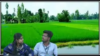 Capsule Rice Farming