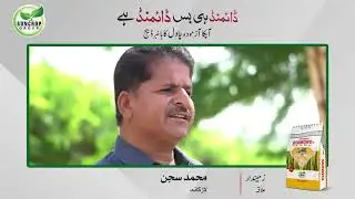 Muhammad Sajan a progressive Rice crop farmer, sharing his views about Diamond Rice Seed | Suncrop