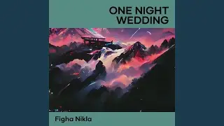 One Night Wedding