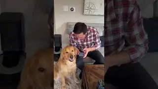 Some people will say it&rsquo;s fake #Shorts #translator #dog #comedy