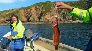 Fishing Wrasse Rockling With A Scenic View Along South Coast Cliffs