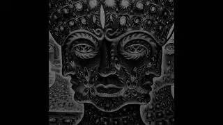 Tool - Rosetta Stoned (Drop B)
