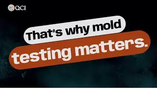 The Mold Problems Homeowners Never See... Until It&rsquo;s Too Late