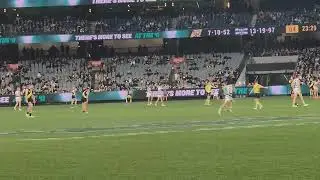 AFL- Richmond Goals vs Geelong | Round 24 2025 (Fan Camera Angle)