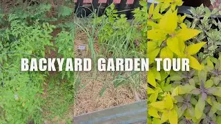 Blossom Bliss at our Backyard Garden Tour: Magic of our Spring Garden 🏡Home Garden Tour