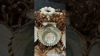 Scallop Shell Napkin Rings for your tablescape 2025!  #diordesignanddecor #shellart #holiday2025