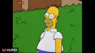 HOMER DISAPPEAR IN TO BUSH MEMES